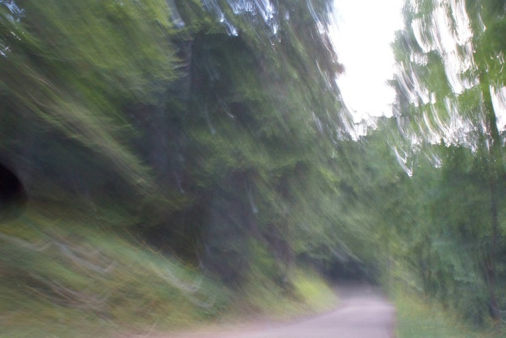11160628_1115552895138145_8920014051585991677_o.jpg