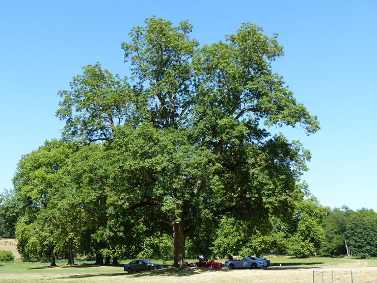 P1010380.JPG