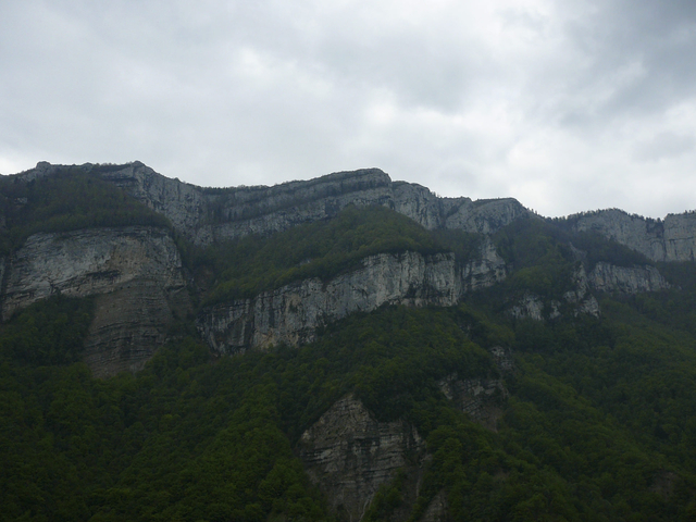 P1130736.jpg