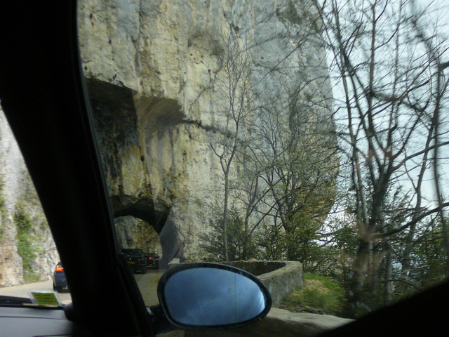 P1130769.jpg