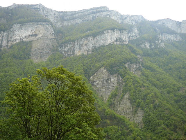 P1130747.jpg