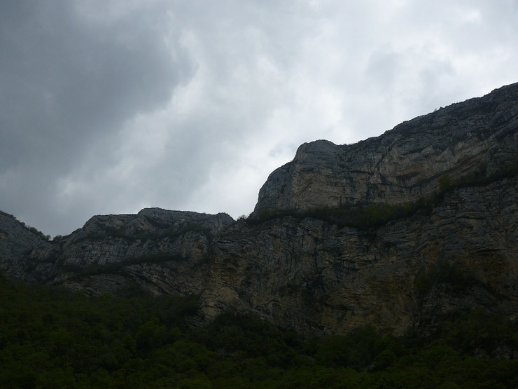 P1130737.jpg