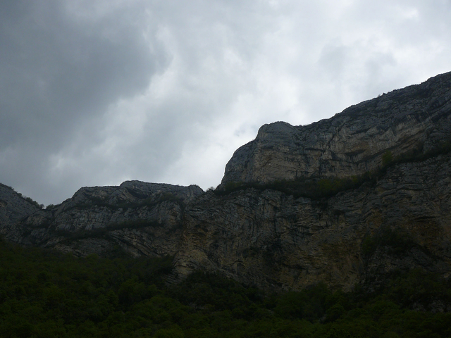 P1130737.jpg