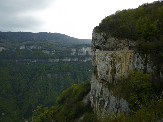 P1130786.jpg