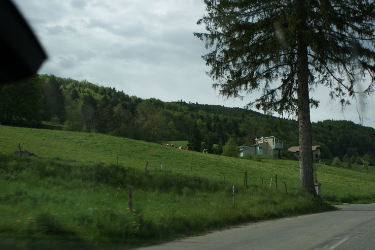 DSC05686.jpg