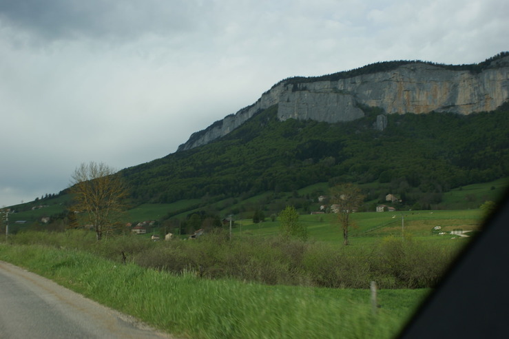 DSC05685.jpg