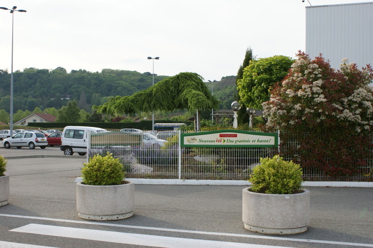 DSC05721.jpg