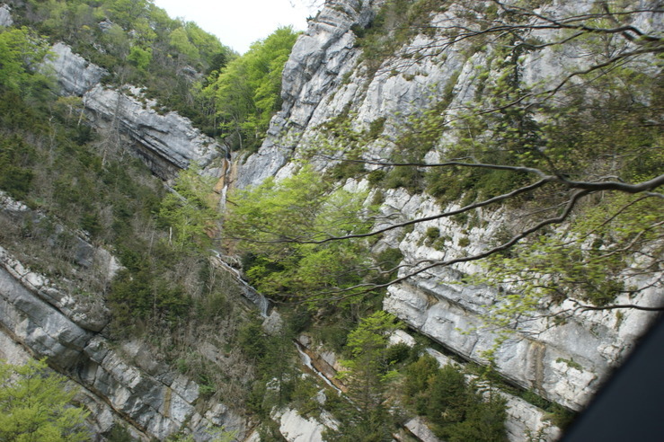 DSC05703.jpg