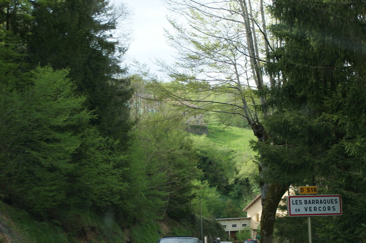 DSC05678.jpg