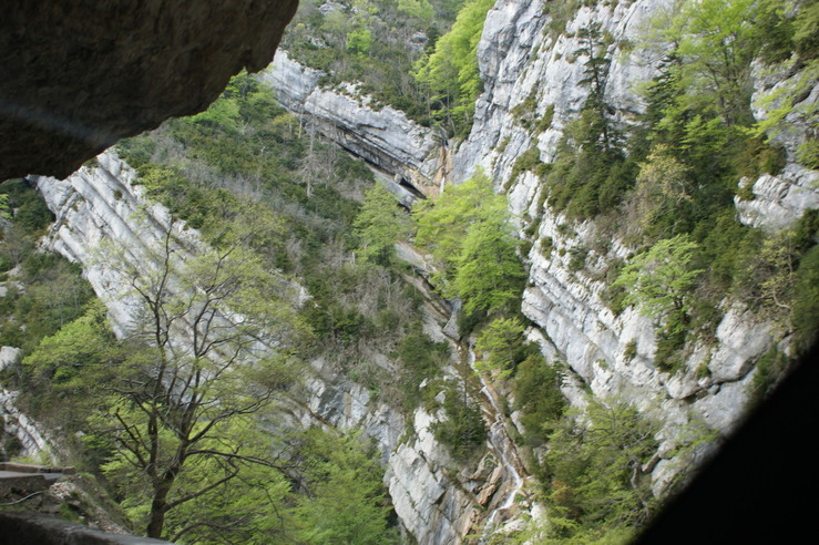 DSC05702.jpg