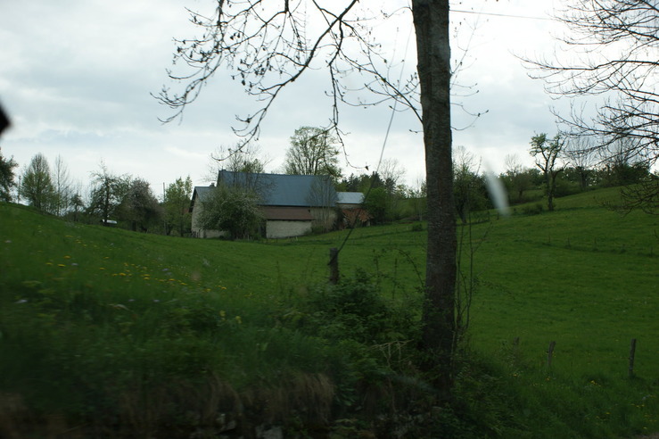 DSC05690.jpg