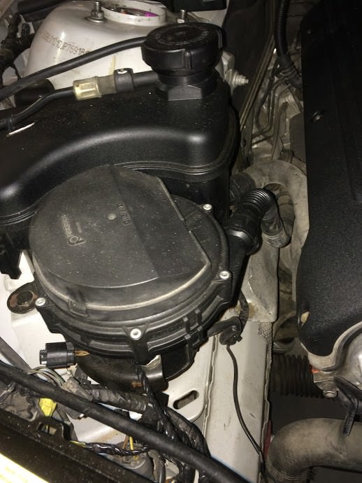 IMG_1252.jpg