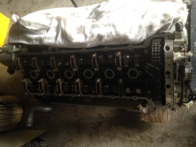 706409IMG0955.jpg