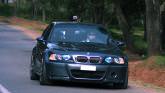 mini_840294MSHARK3.jpg