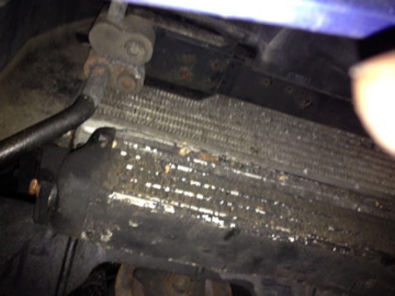 796463IMG2215.jpg
