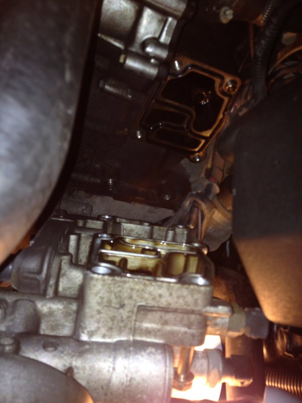591175IMG2160.jpg