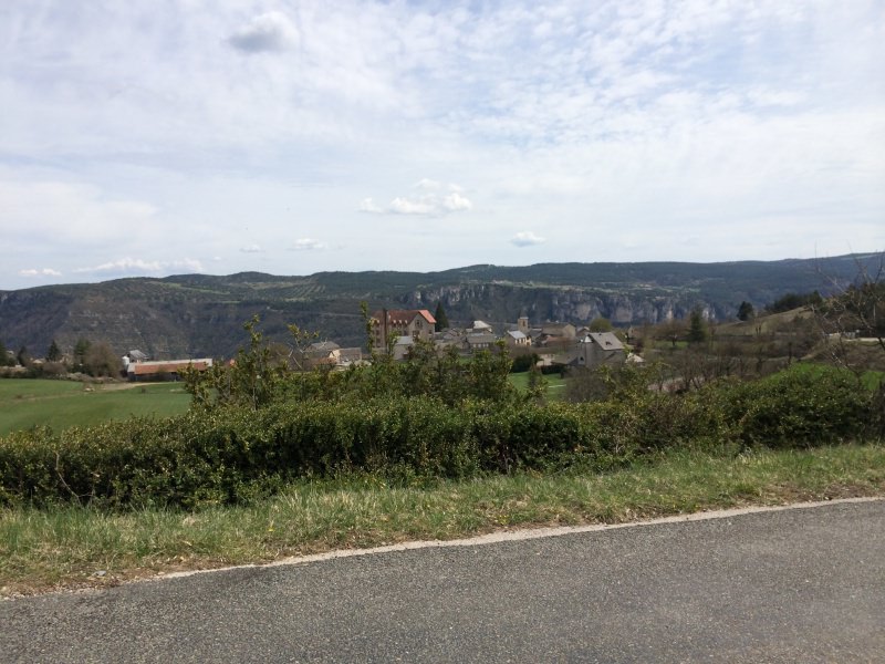 445392IMG0017.jpg