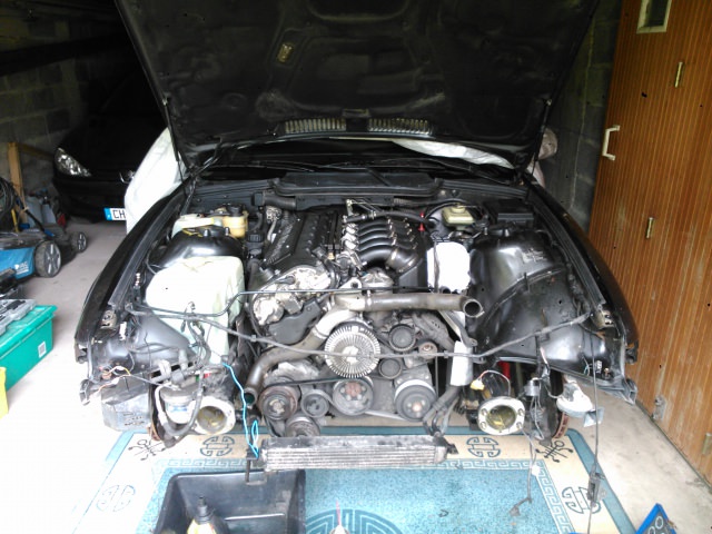 733949DSC0274.jpg