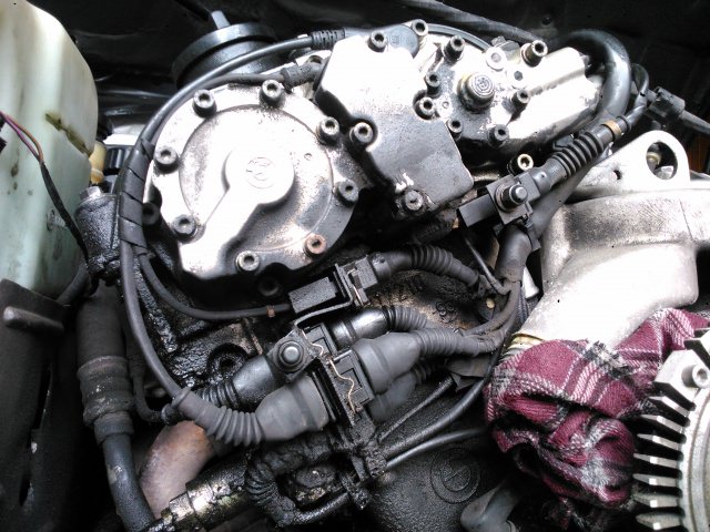 564730DSC0285.jpg