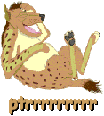 k9wysfl6.gif