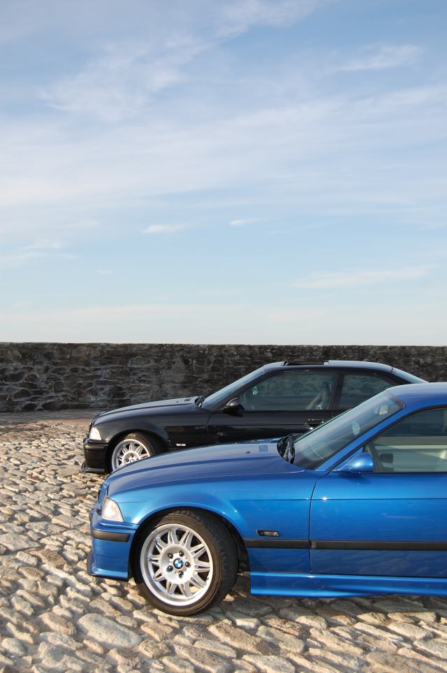c310.jpg