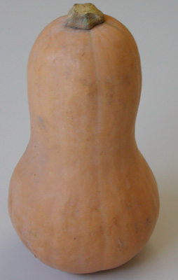 img-225146-1-CourgeMusquee.jpg