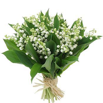 img-227502-1-muguet06.jpg