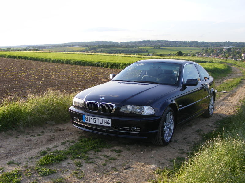 img-231666-4-0007bqf.jpg