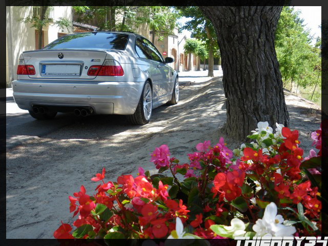 img-234976-6-miniimgp0787.jpg