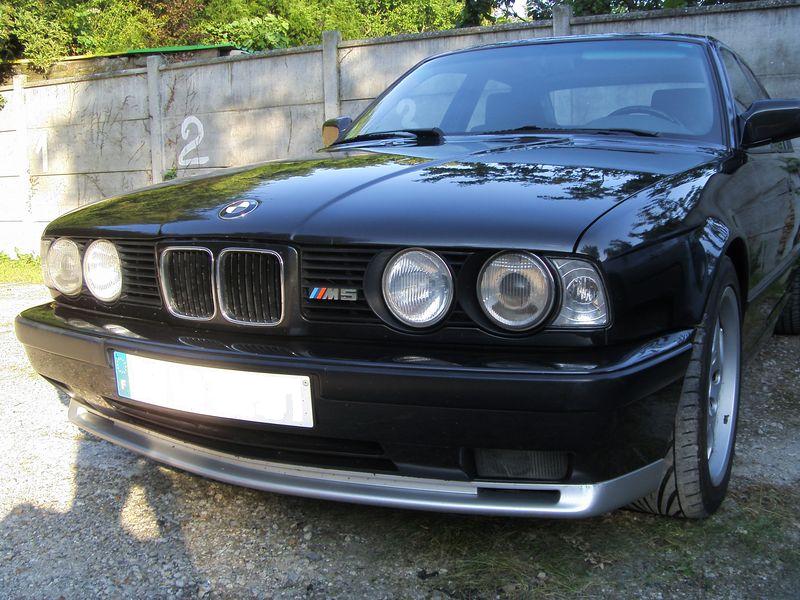 img-236913-1-s73f2218.jpg