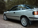 img-237180-3-rf2gl4m6.jpg