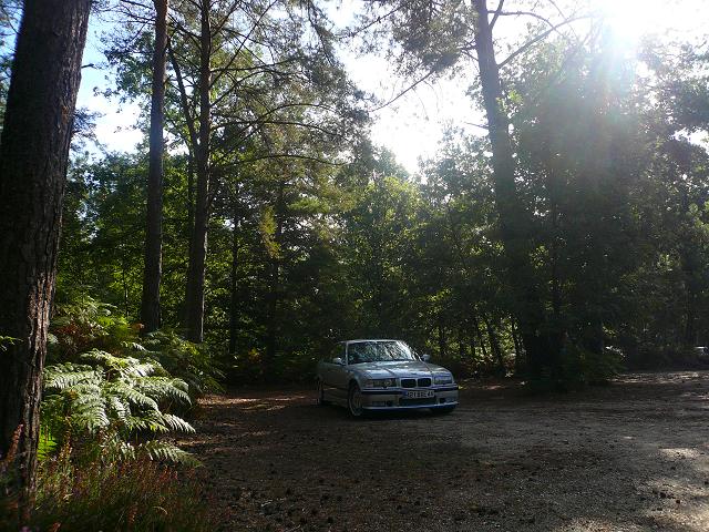 img-238180-6-p1020147wl4.jpg