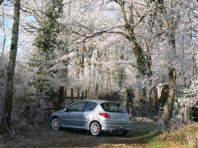 img-240080-6-473ck3.jpg