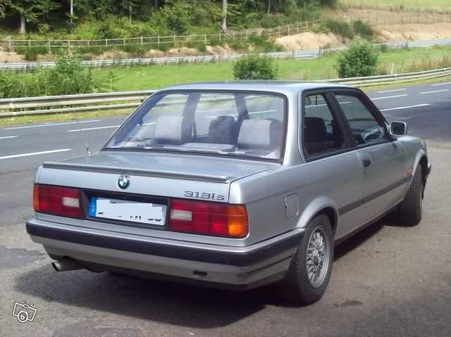 img-244583-1-2ymf4ux.jpg