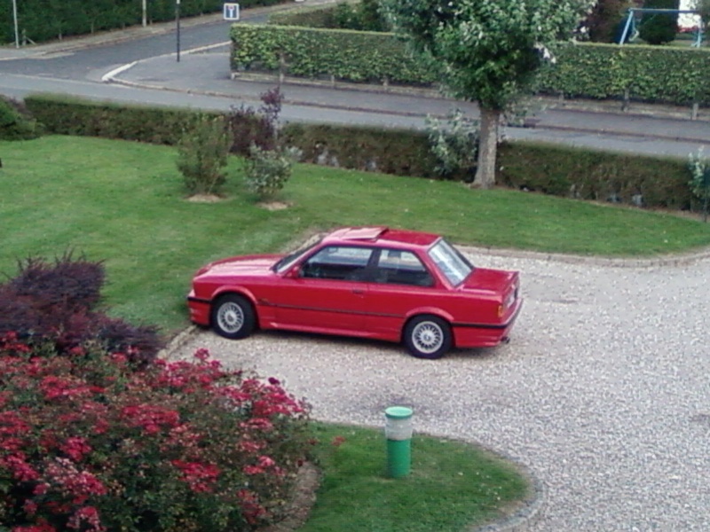img-245490-2-sp_a0311.jpg