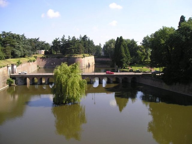 img-249685-1-954c8ab490f64e89b9c6193.jpg