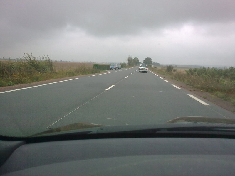 img-250236-2-17092009.jpg