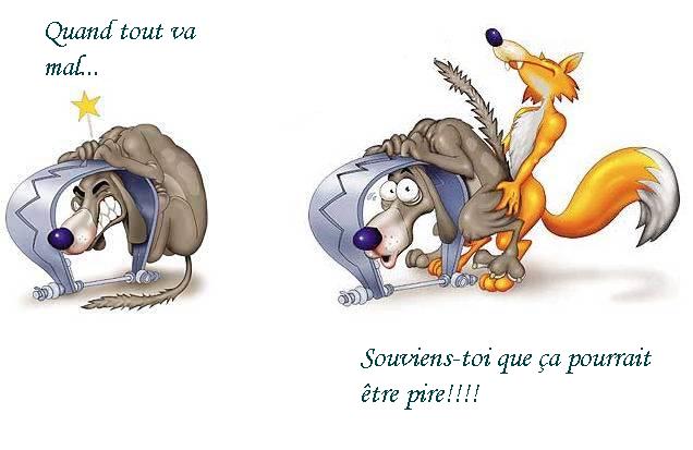 img-254167-1-proverbedujour.jpg