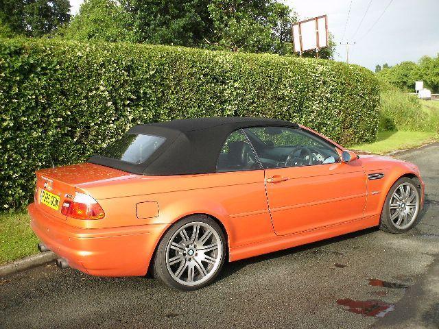 img-258312-1-sunsetorangepearl.jpg