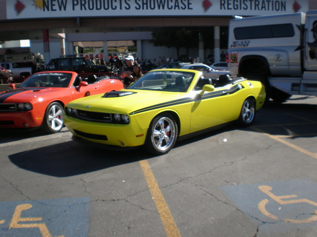 img-268617-1-pb030083.jpg