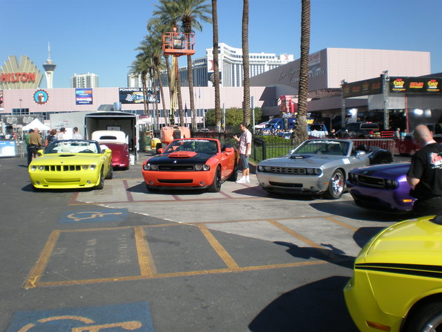 img-268617-2-pb030084.jpg