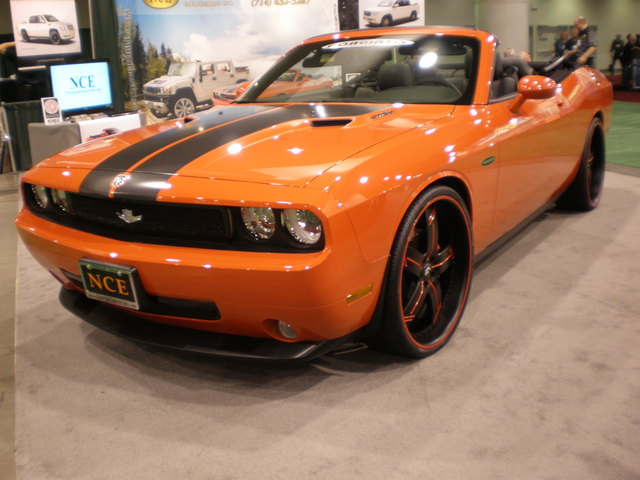 img-268617-4-pb030140.jpg