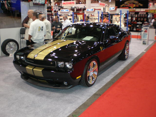 img-268617-6-pb050328.jpg