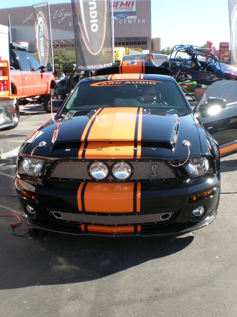 img-268898-3-pb030060.jpg