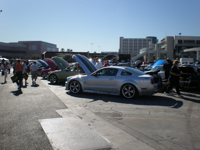 img-268898-9-pb030074.jpg