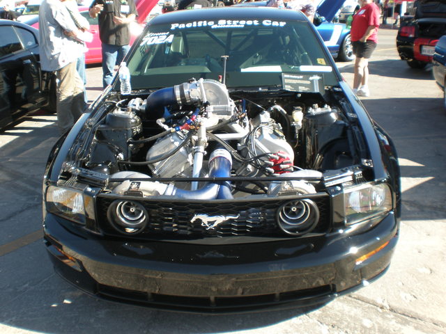 img-268904-1-pb030077.jpg