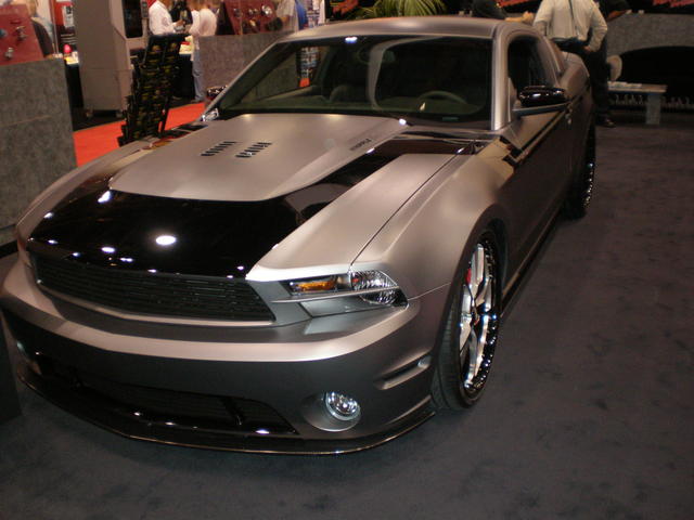 img-269068-3-pb050360.jpg