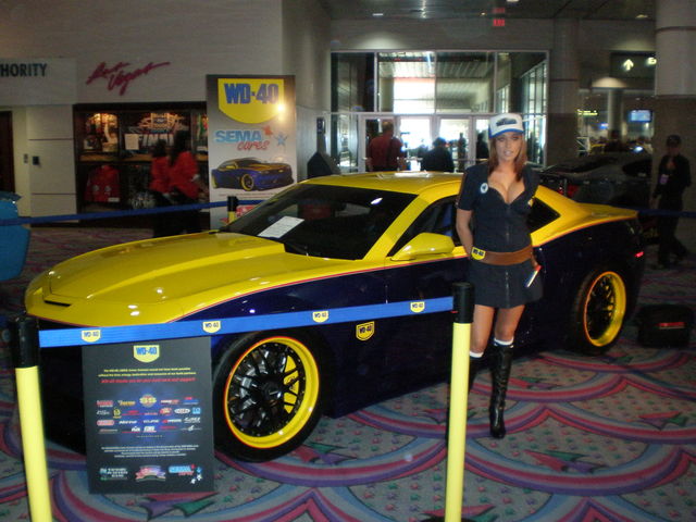 img-269503-3-pb030127.jpg
