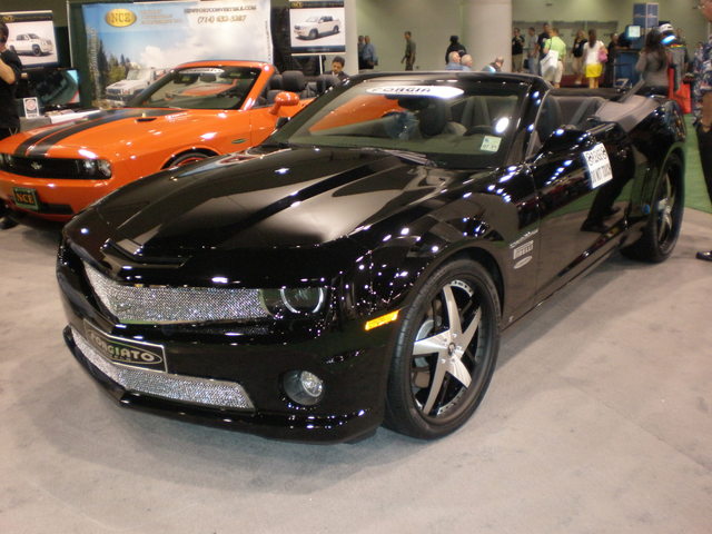 img-269503-4-pb030139.jpg