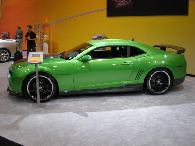 img-269526-4-pb050366.jpg